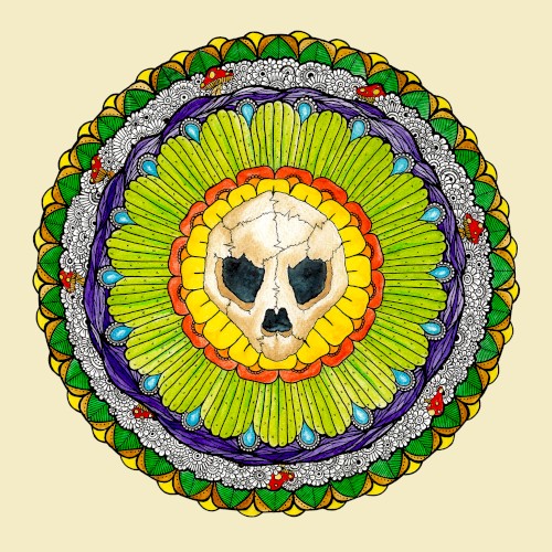 Turtle Skull