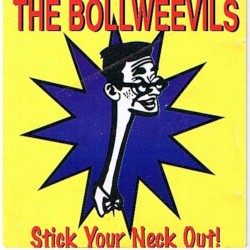 Stick Your Neck Out!