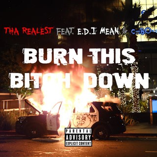Burn This Bitch Down