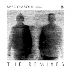 Delay No More (The Remixes)