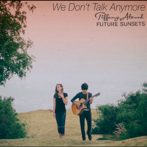 We Don't Talk Anymore