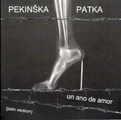 Un ano de amor