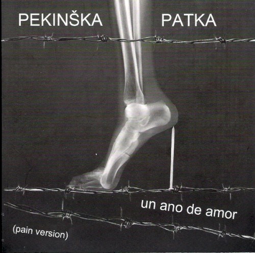 Un ano de amor