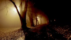 Midnight Tales