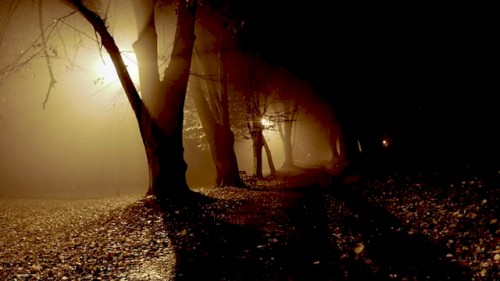 Midnight Tales