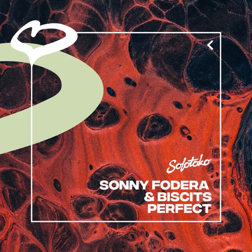 Perfect Love (Biscits remix)