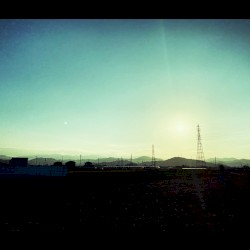 sunlight