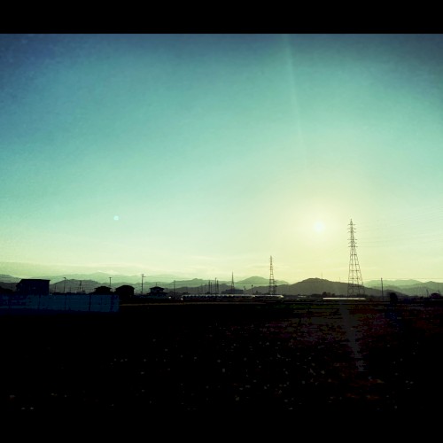 sunlight