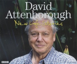 New Life Stories