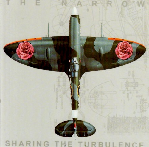 Sharing the Turbulence