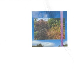 Dirt Boy Web