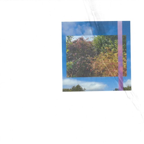 Dirt Boy Web