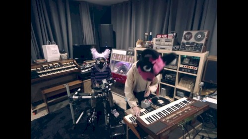 Furries Love Drum 'n' Bass