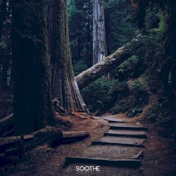 Dark Forest