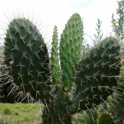 #112: As Thorns Sunk Into the Hand (Part 1)