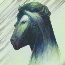 Jazz Horse