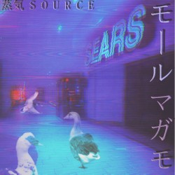 モールのマガモ