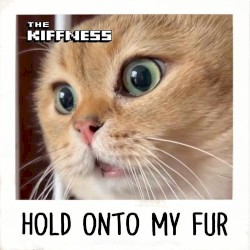 Hold Onto My Fur