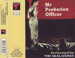 Mr Probation Officer