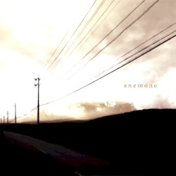 anemone