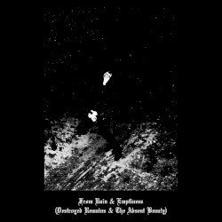 From Ruin & Emptiness (Destroyed Remains & The Absent Beauty)