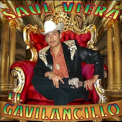 15 Exitos Con Banda
