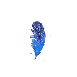 🖋️