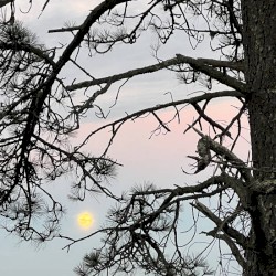 Werewolf Awareness