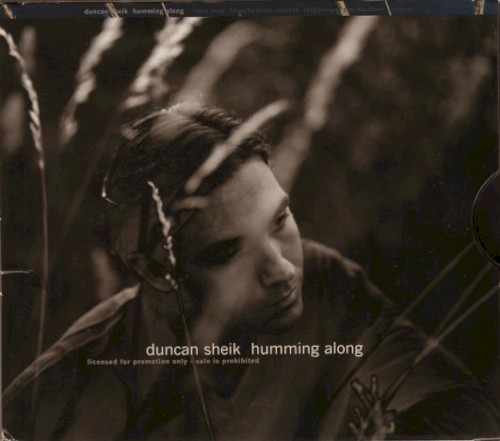 Humming Along