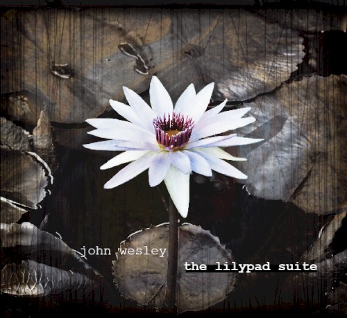 The Lilypad Suite