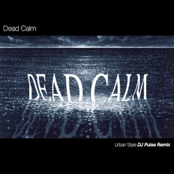 Urban Style (DJ Pulse Remix) / Can't Hold It Inside