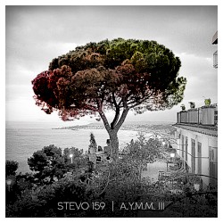 A.Y.M.M. 3