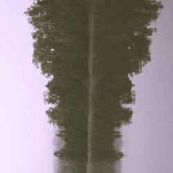Refraction