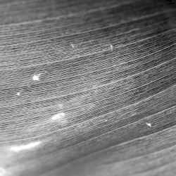 Hardfault