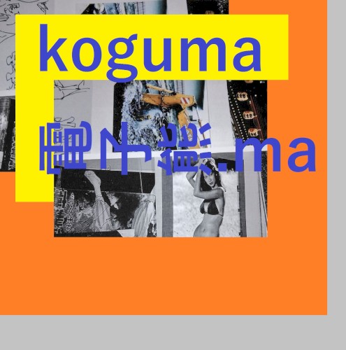 electoroni.kikuma