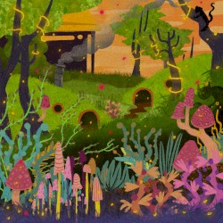 Untouched Forests