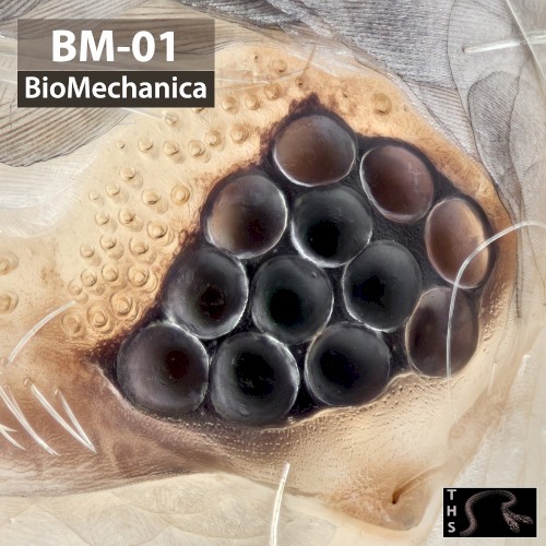 BM01