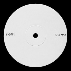 Y-3001