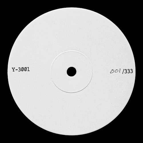 Y-3001