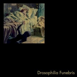 Drosophilia Funebris