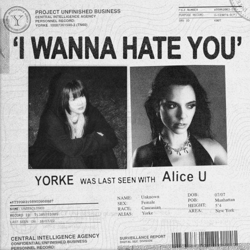 i wanna hate you