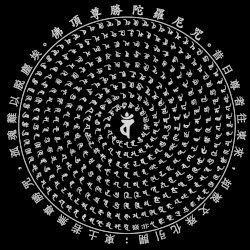 Feedback Dhāraṇī