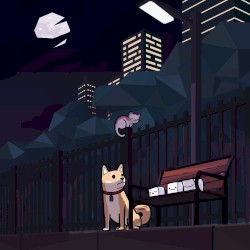 Midnight