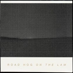 On the Lam