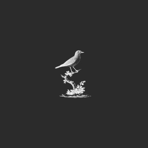 As the Birds Sing