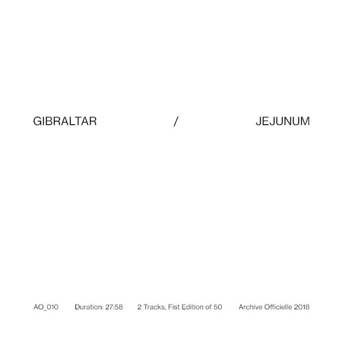 Jejunum