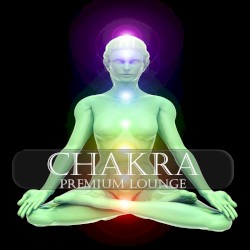 Chakra Premium Lounge (Meditation and Ayurveda Chill Out)
