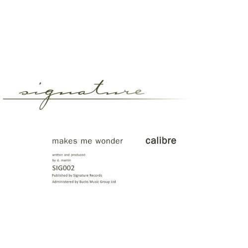 Makes Me Wonder / Got To Have You