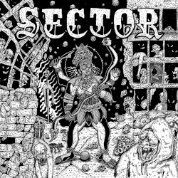 The Chicago Sector