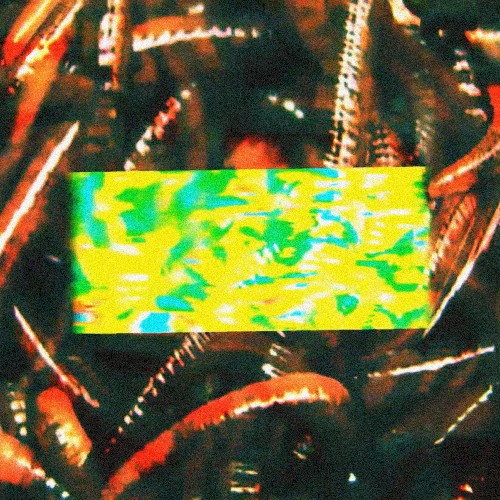 Bag of Worms